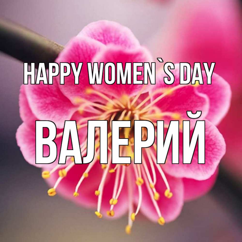 Greetings card с именем, Валерий happy women`s day цветы Greetings with text for free download 